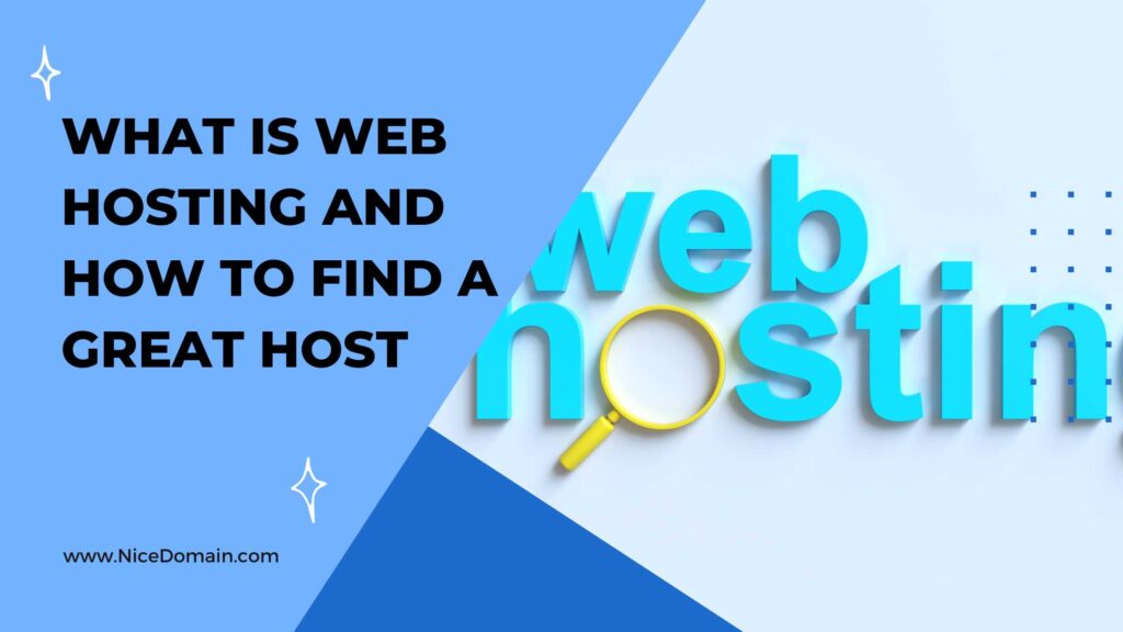 what is web hosting