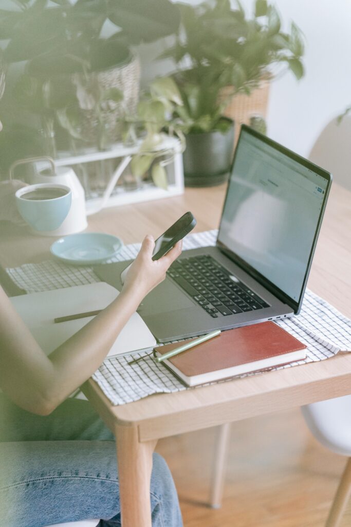Tips for Choosing the Right Domain Name Renewal Provider
