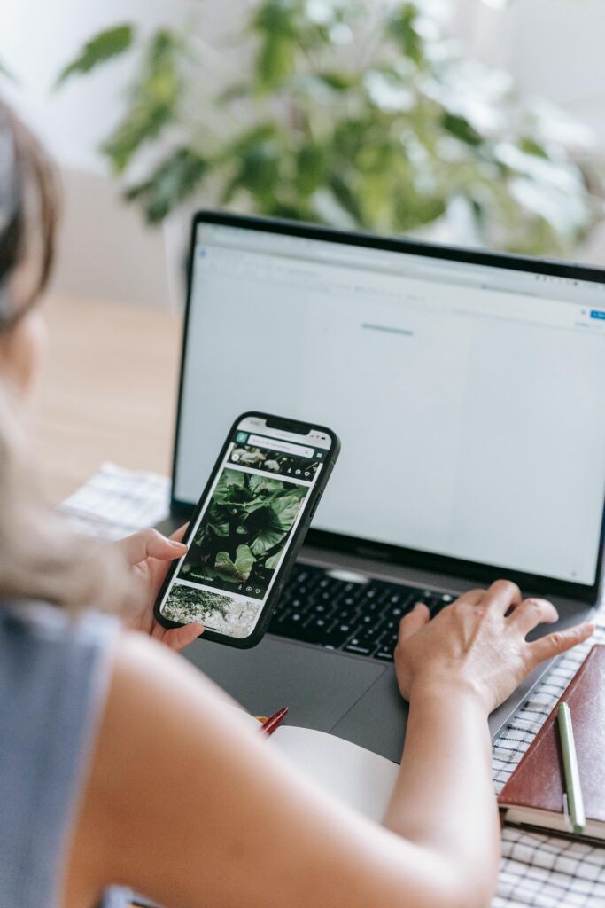 Legal Implications of Letting a Domain Name Expire