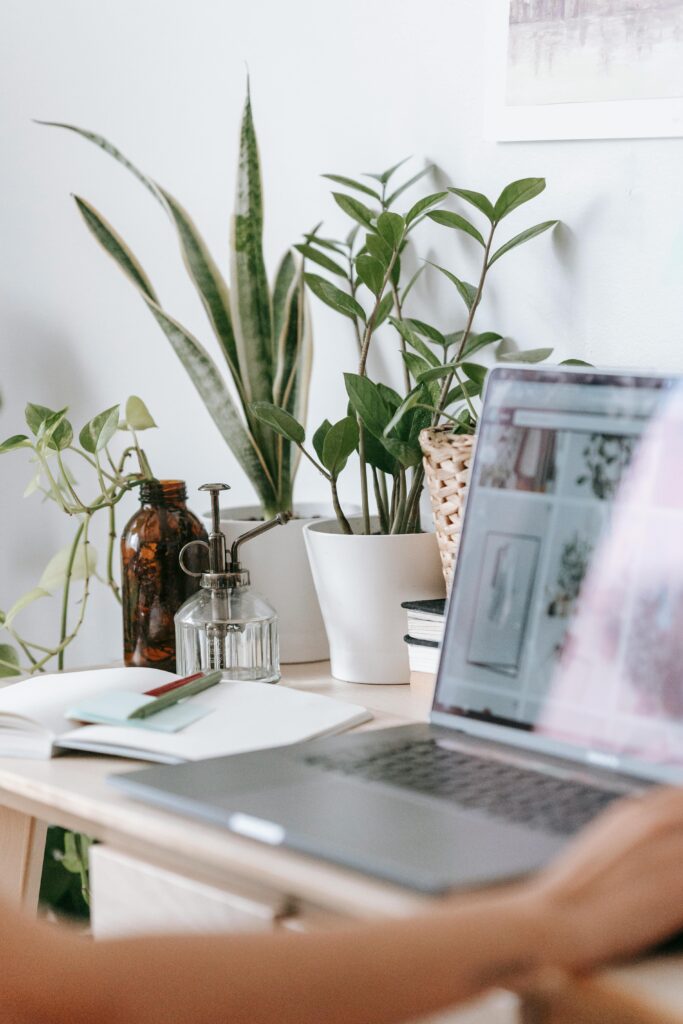 Automatic Renewal vs Manual Renewal: Which is Better?